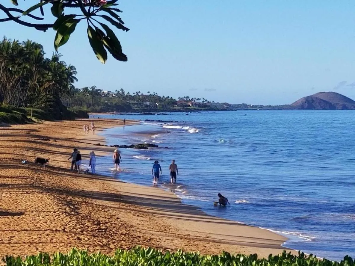 Hale Kamaole 264 Βίλα Wailea  Wailea (Maui)